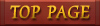 TOP PAGE