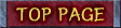 TOP PAGE